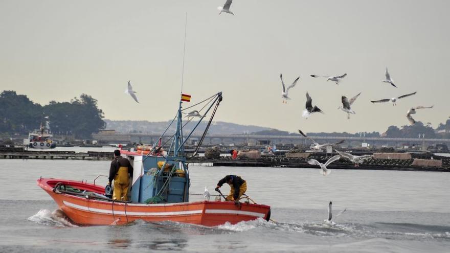 Pescadores en la ría de Arousa.