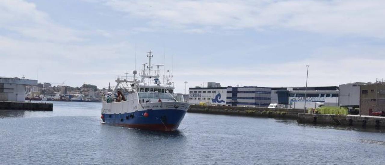 La flota “gransolera” de Vigo sondea ya presentar el recurso por la pesca de fondo