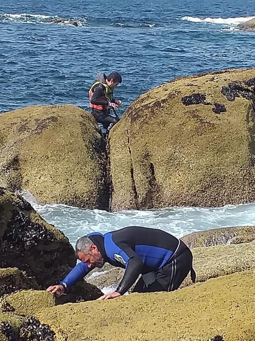 La actividad marisquera se intensifica en la ría