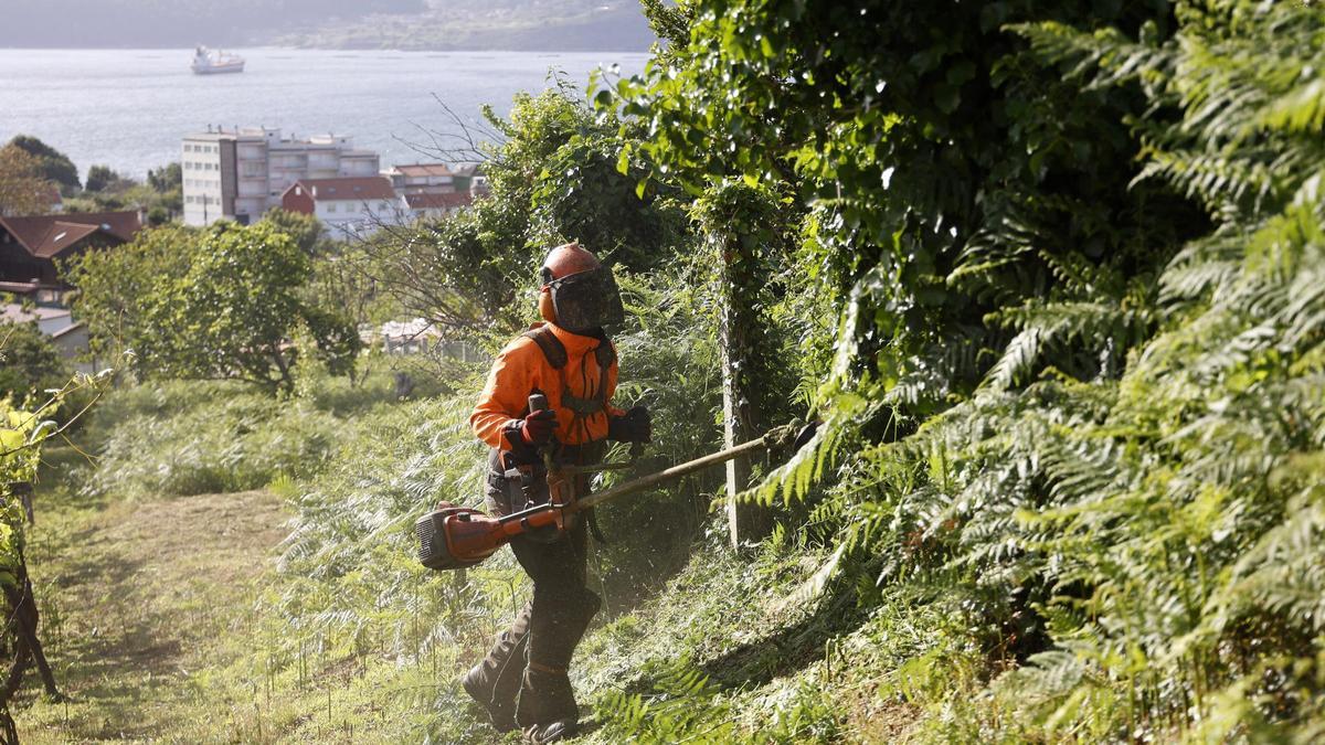 Un trabajador realiza desbroces en una finca en Marín.