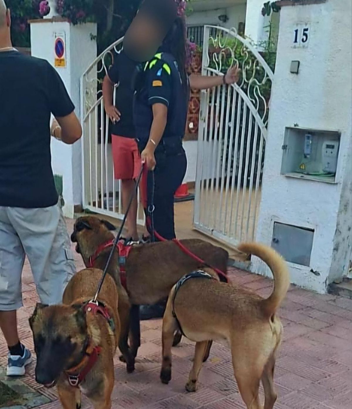 Un moment de l'actuació policial a Castelló