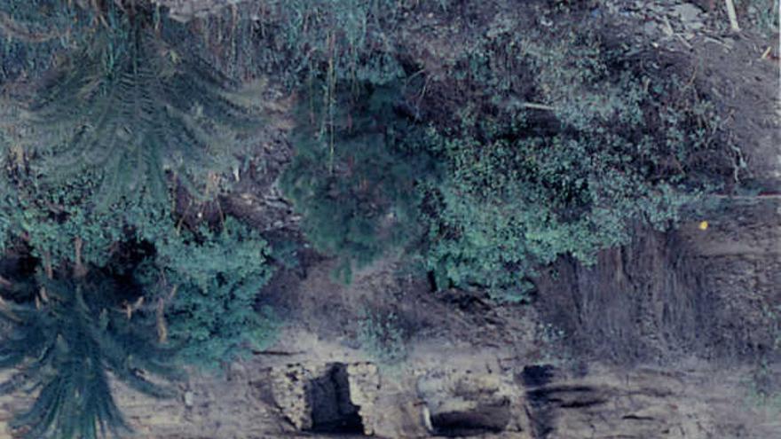 Cuevas del Drago, en el barranco de Guiniguada. | fuente morales