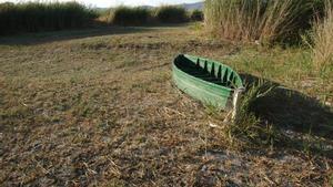 Los humedales españoles se mueren de sed; en la imagen, las Tablas de Daimiel