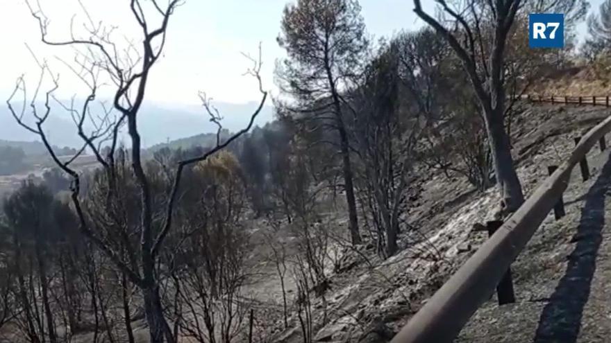 El foc de Manresa calcina vegetació de l'entorn de Bufalvent i Les Arnaules