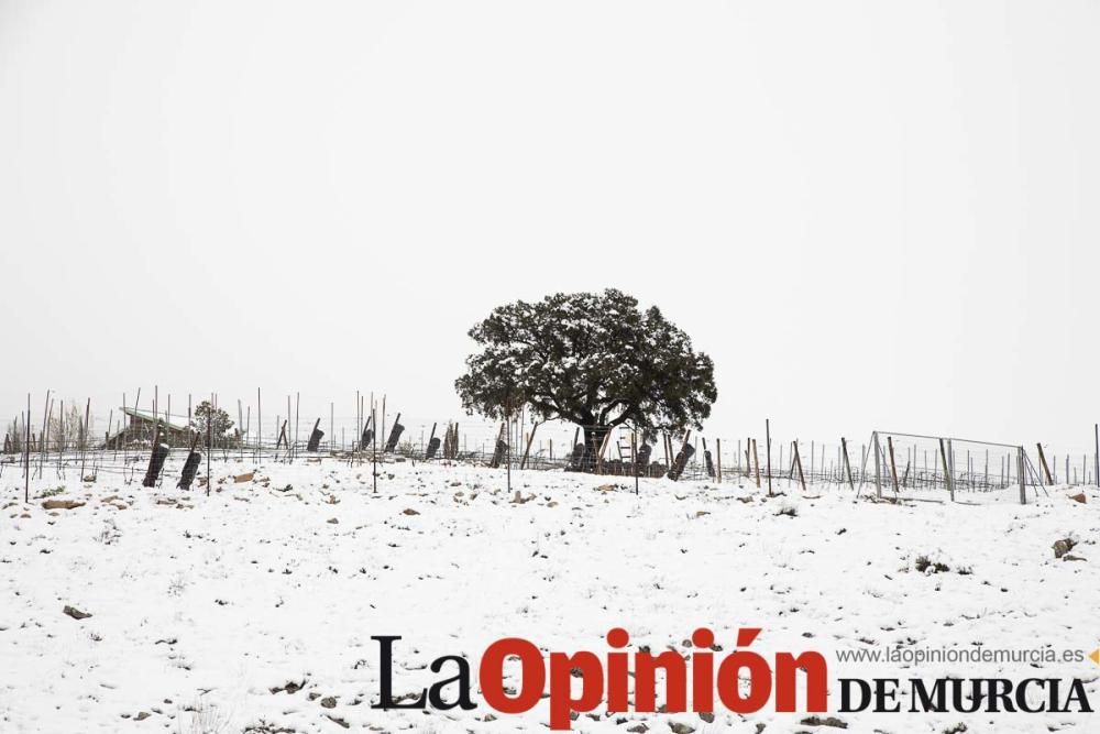 Nieve en el Noroeste