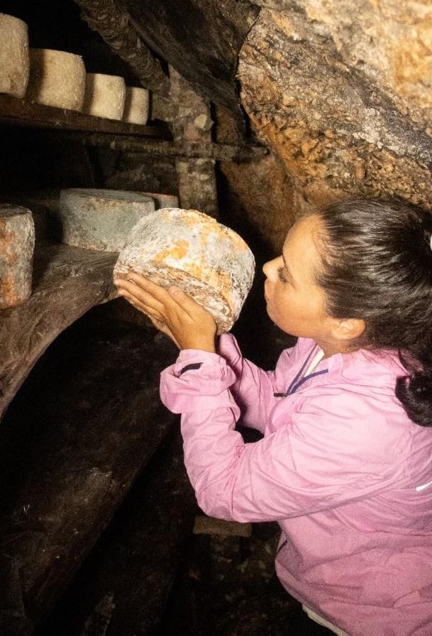 Una cueva de maduración de quesos. 