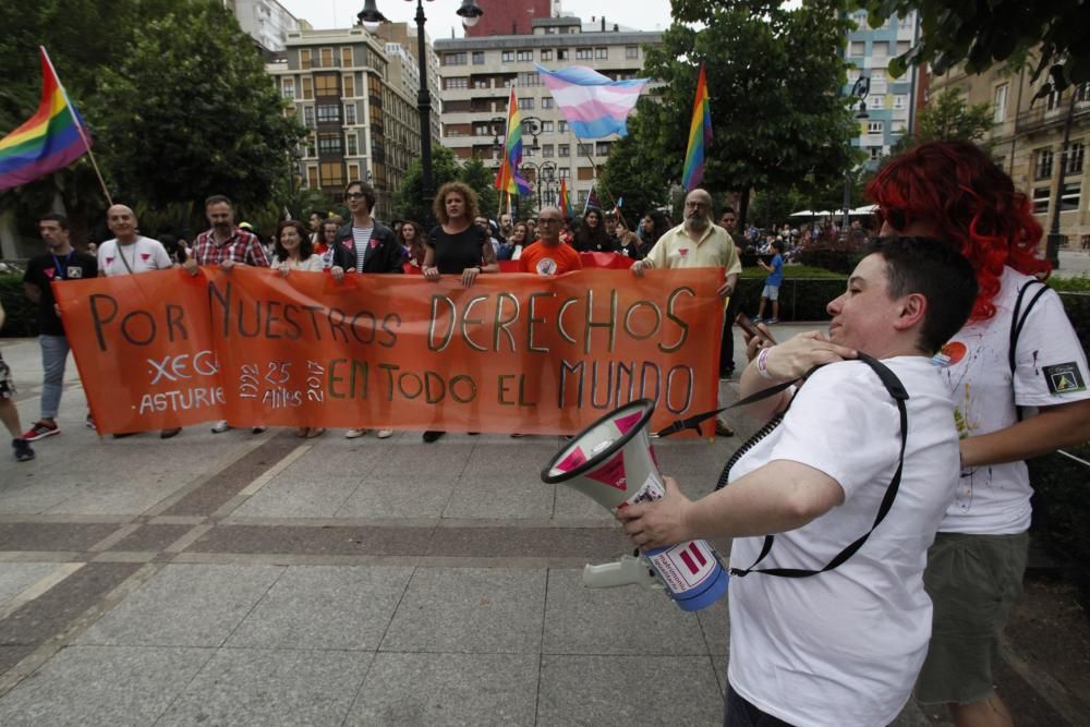 Manifestación del Orgullín del Norte.