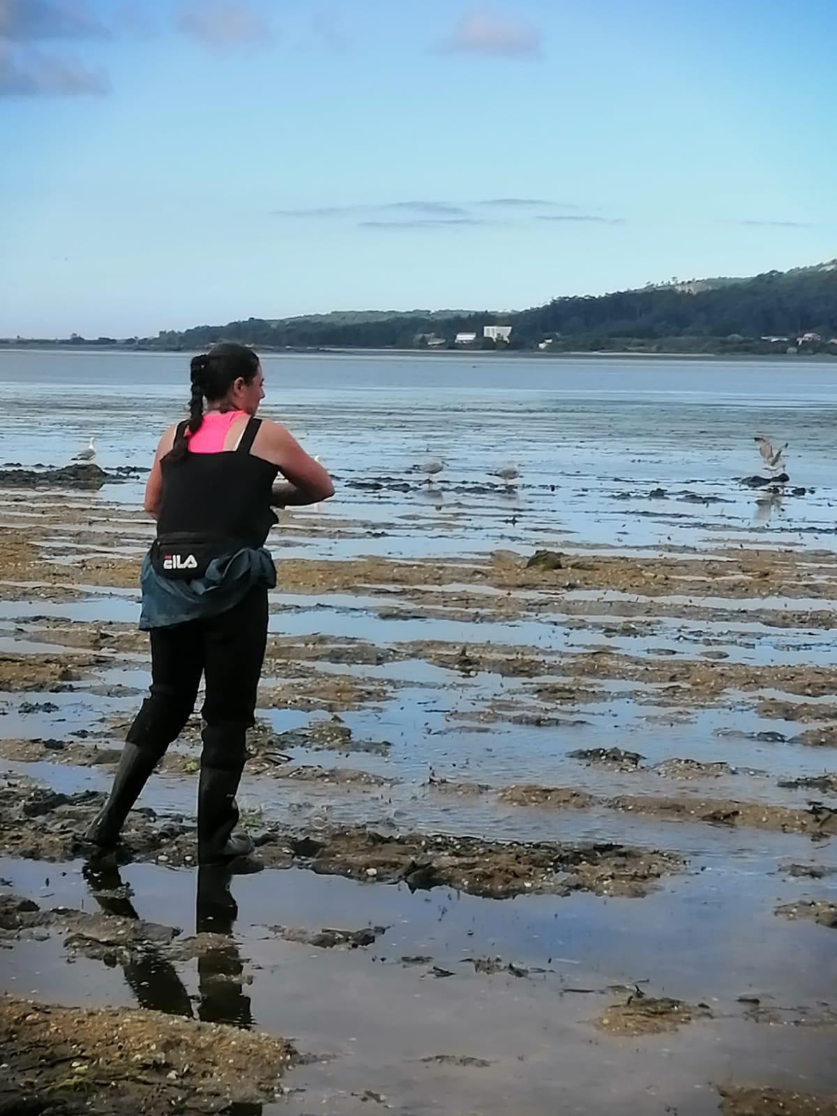Trabajos de siembra realizados esta mañana en Castrelo (Cambados).