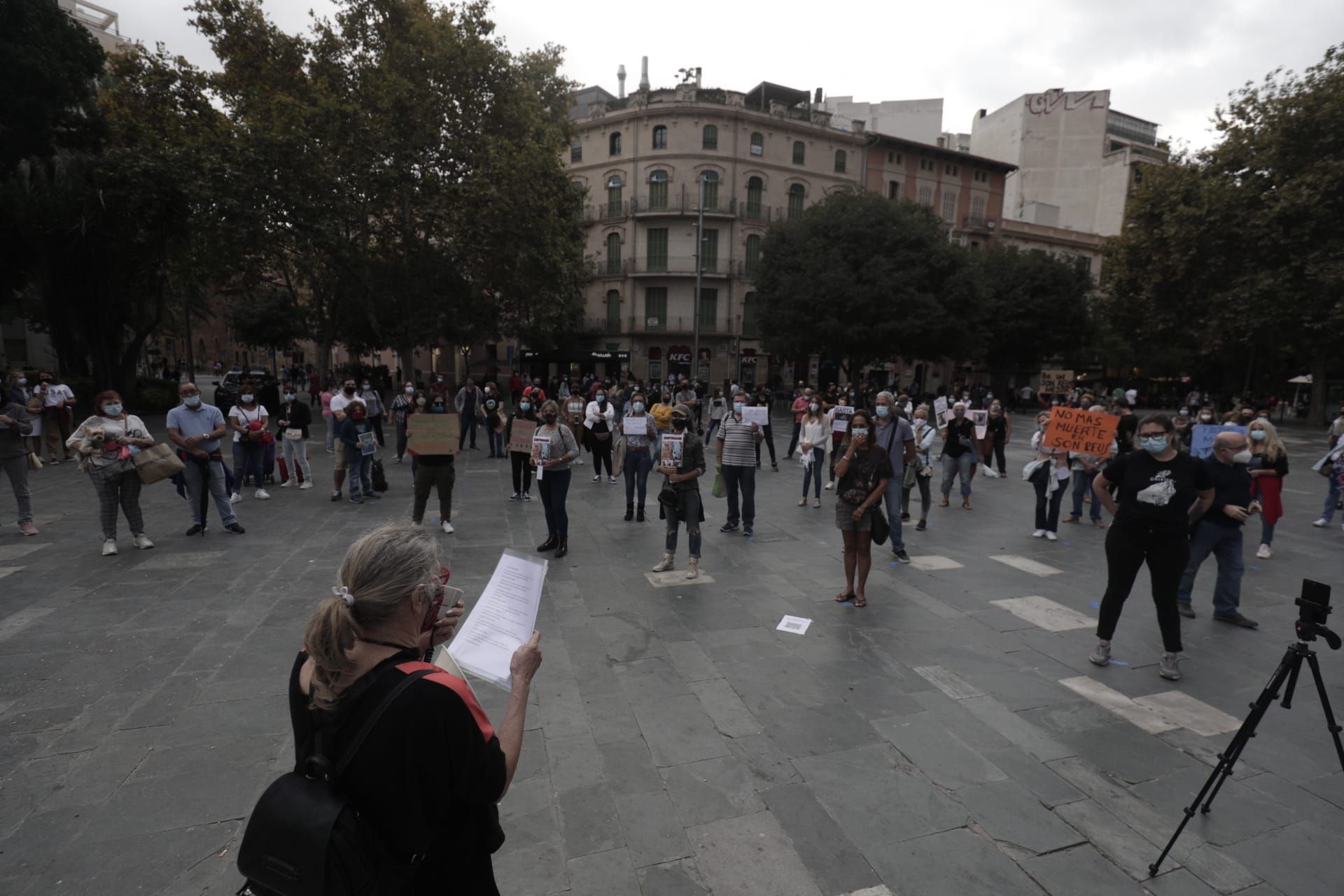 Manifestación por Venus, la perra pitbull que murió desangrada en Son Reus