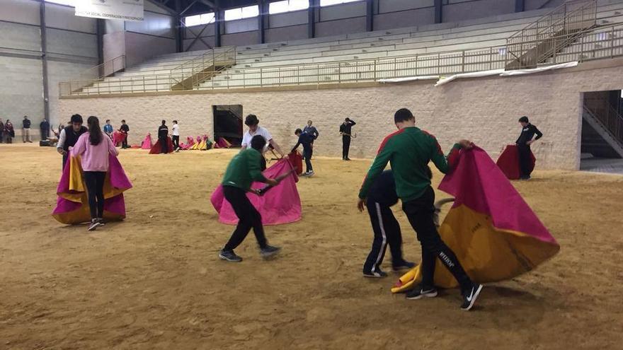 Torero de salón... pero en el de casa