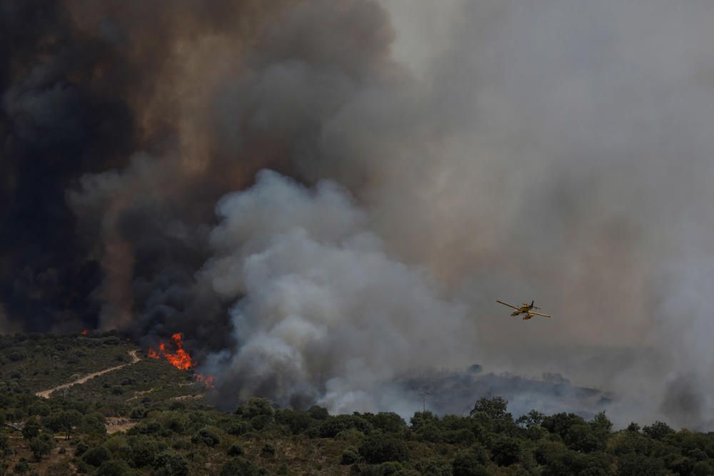 Incendio Pino del Oro y Castro de Alcañices