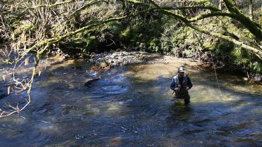 Un pescador prueba suerte en la zona de A Estrada. // Bernabé/Adrián Rei