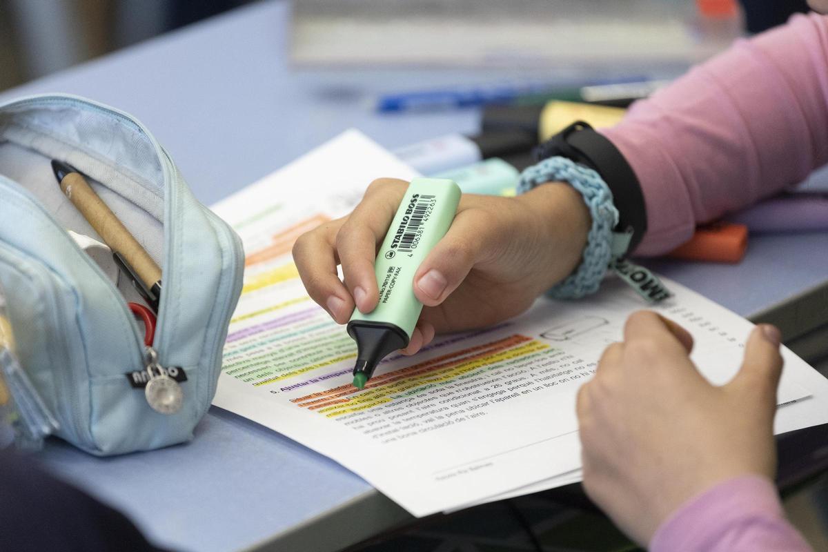 Una alumna de secundaria repasa sus apuntes, en una biblioteca.clase.