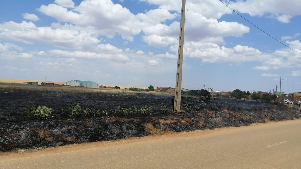 Zona afectada por el incendio de Cotanes del Monte.