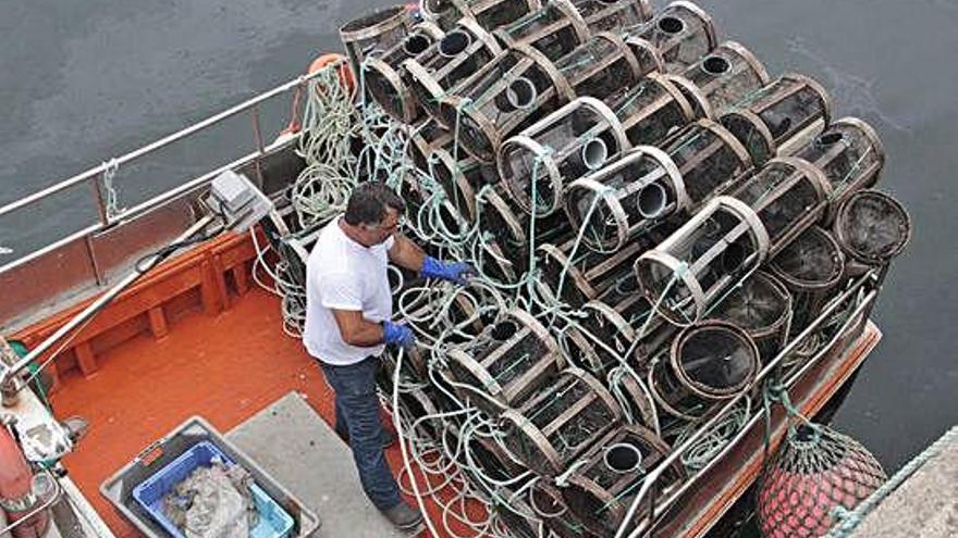 Un pescador prepara las nasas de nécoras para capturarlas.