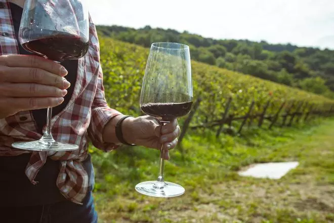 La mejor sumiller de España dicta sentencia: el mejor vino del país cuesta menos de 10 euros y es este