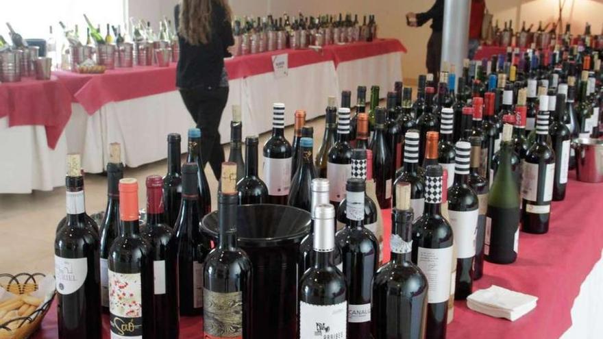 Cata de los vinos Premios Arribe