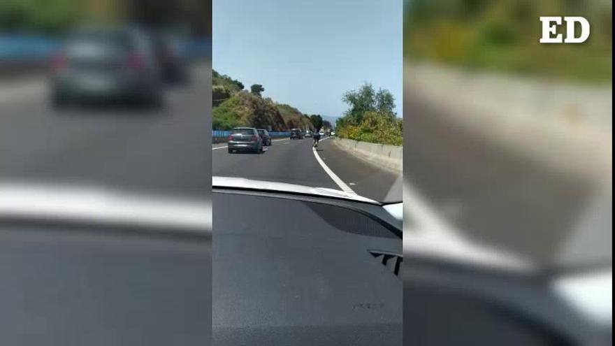 Graban a un ciclista circulando por el arcén de la TF-5