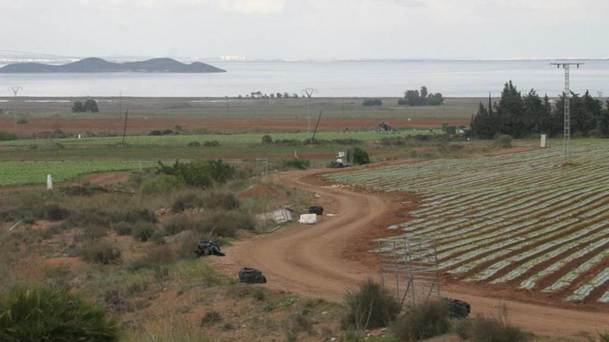 Terrenos donde está proyectado el complejo Novo Carthago.