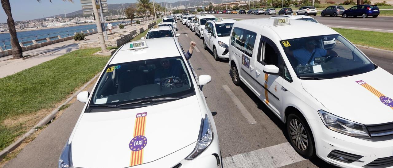 Los taxistas no descartan ninguna medida para defender sus derechos