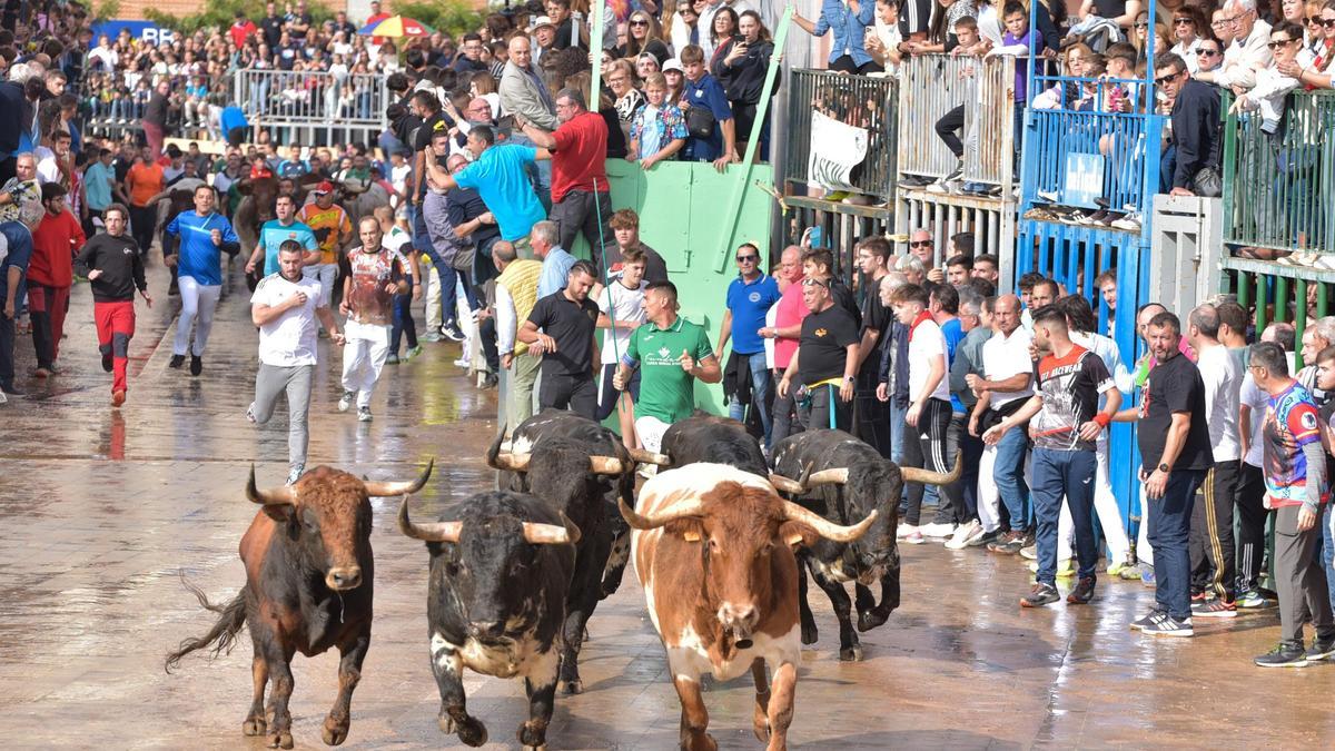 Galería de fotos del último encierro de la Fira d'Onda y de la suelta matinal