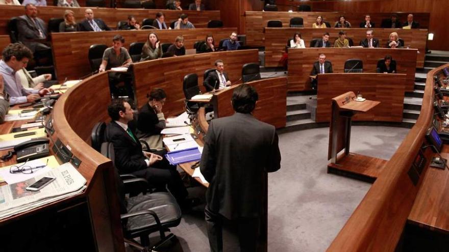 Vista general del hemiciclo del Parlamento asturiano; de espaldas, en primer término, Javier Fernández.