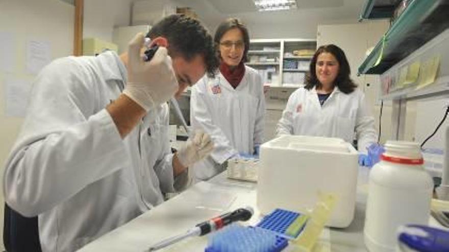 Investigadores de la Universidad Miguel Hernández en un laboratorio del instituto IDiBE.