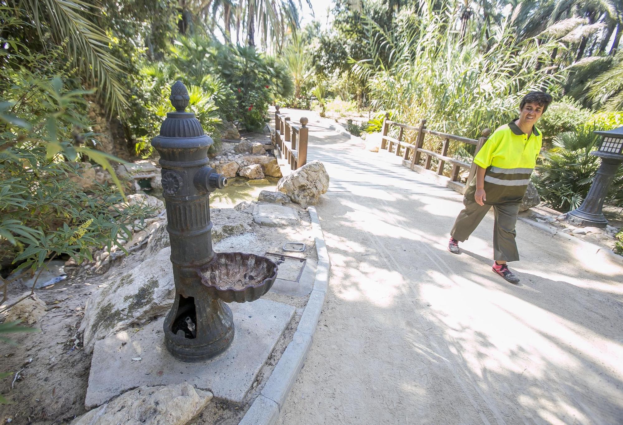 El Palmeral de Alicante, un oasis de abandono