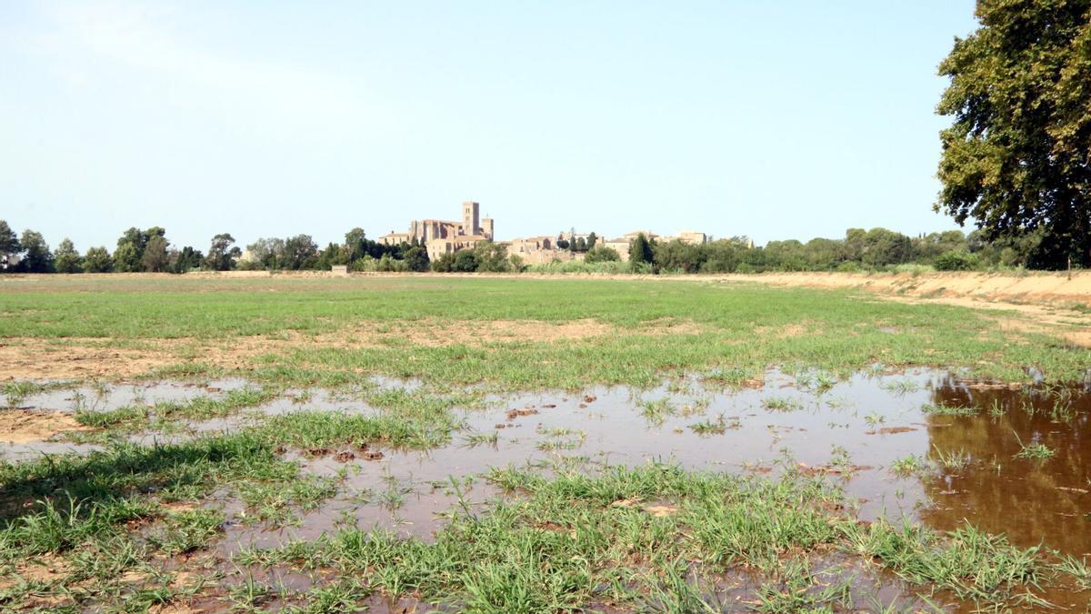 L'estany de la Vila amb la Basílica de Castelló de fons
