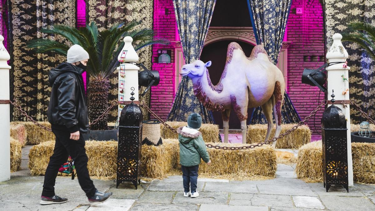 En nuestro paseo podemos encontrarnos con camellos recién llegados de Arabia.