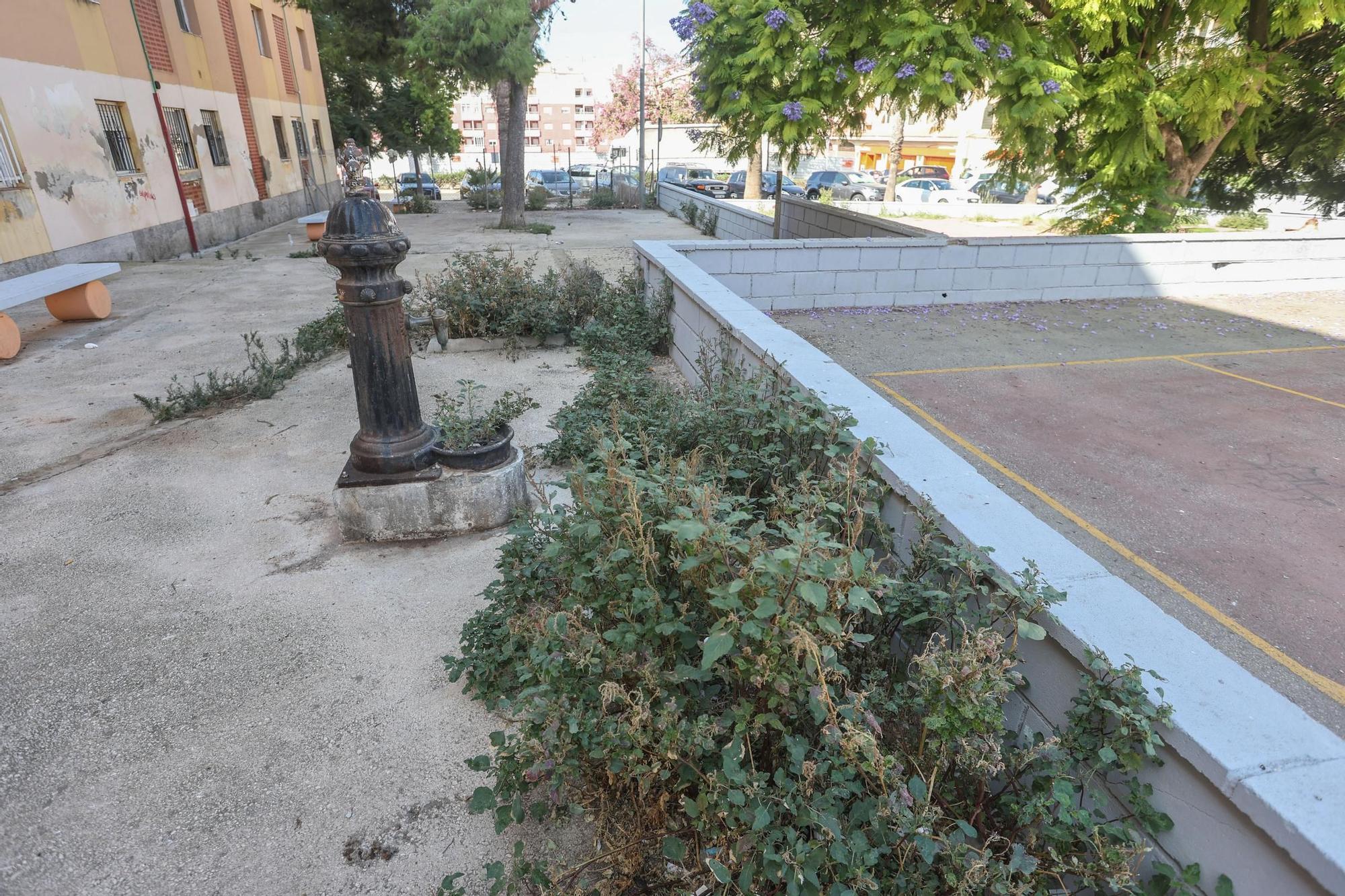 Así está el espacio público y zona de juegos de la calle San Emigdio a un paso del centro de Torrevieja