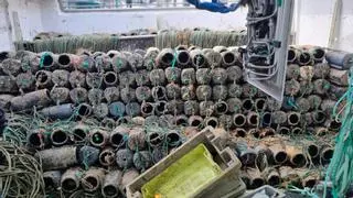 Gardacostas trata de hacer respetar el paro biológico del pulpo