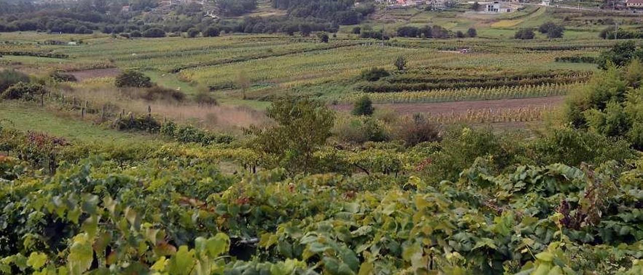 Una vista de Santa María de Xeve, con un núcleo de casas al fondo. // R. Vázquez