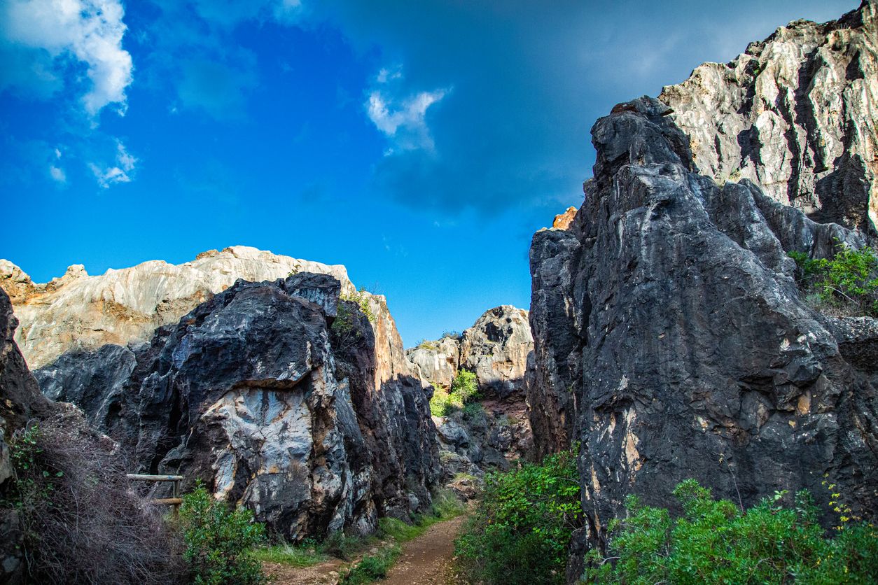 El Cerro del Hierro presenta una gran biodiversidad debido a su característico relieve