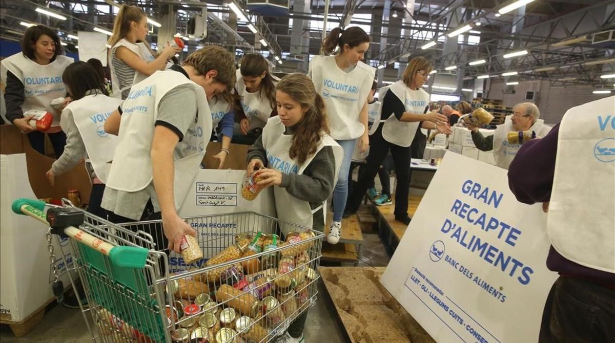 Clasificación de alimentos en el Parc Logístic de la Zona Franca tras una de las jornadas del último Gran Recapte.