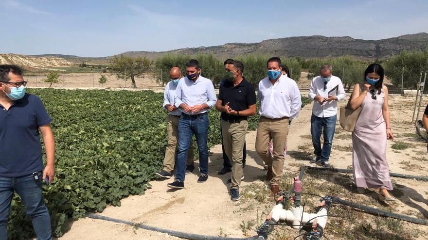 Una finca experimental en Yéchar reduce el uso de fertilizantes a través de microorganismos