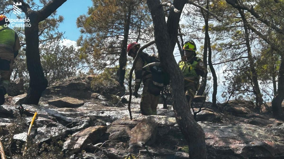 Imagen de los bomberos refrescando la zona para evitar reproducciones.