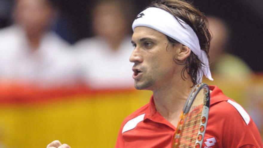 David Ferrer