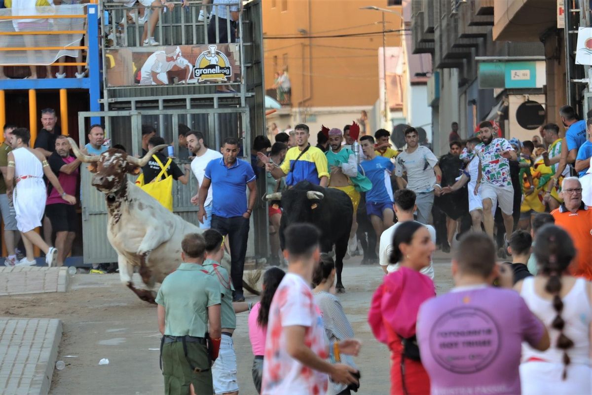 Un individuo irrumpe en medio de la entrada de los toros de Fernando Mansilla que corrían el encierro y se salva de la embestida, de milagro.