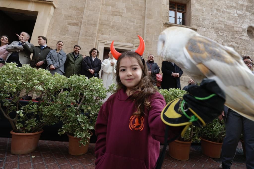 Palma celebra sus primeras 'beneïdes' sin animales exóticos por la Ley de Bienestar Animal