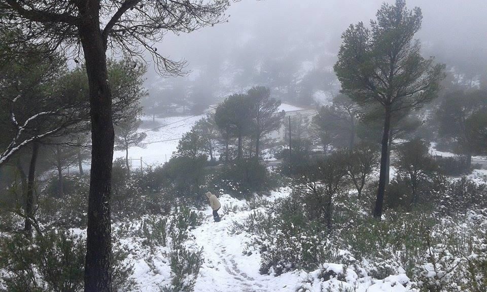 Xorret de Catí, en Elda, esta mañana