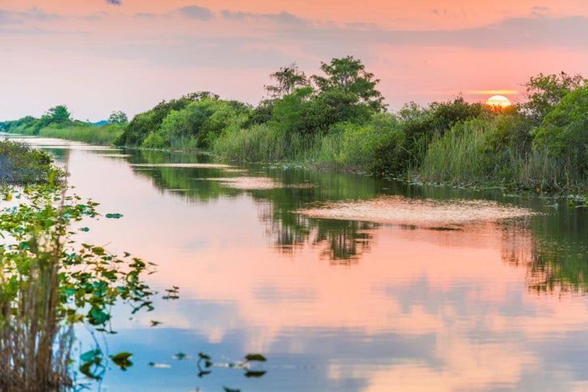Parque Nacional de Everglades, Florida