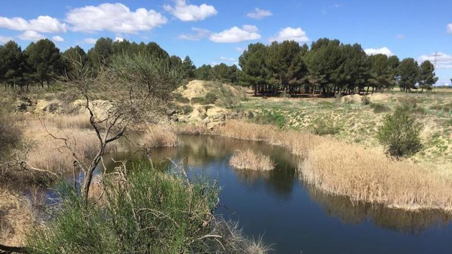 La ruta premiada de Madrid para descubrir las Lagunas de Horna: un paseo de 1,5 kilómetros a 30 minutos de Madrid