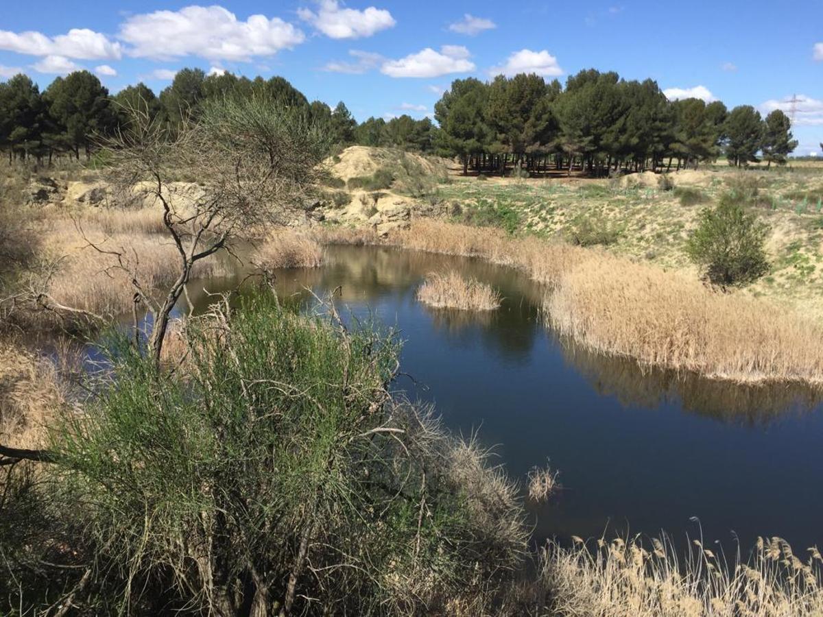 A lo largo del paseo, los visitantes pueden descubrir la transformación del paisaje, con espacios agrícolas y zonas renaturalizadas que reflejan la recuperación ambiental que ha vivido este punto del sur madrileño
