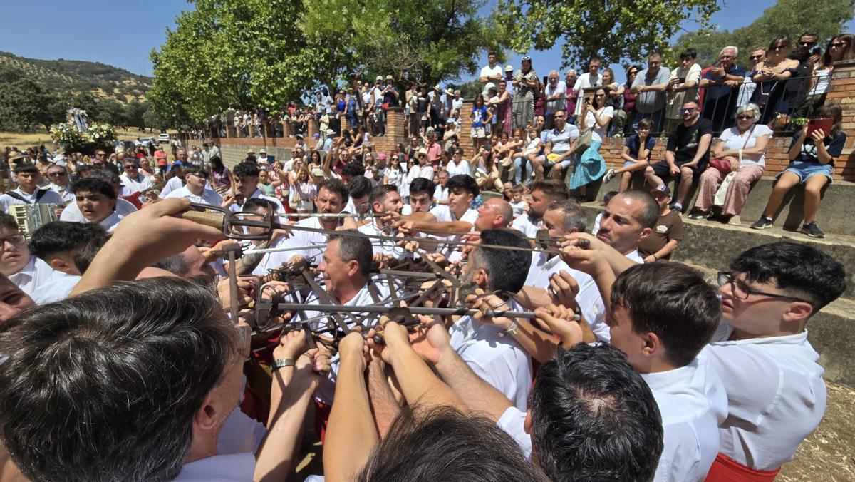 Obejo burla a la muerte con la "degollá"