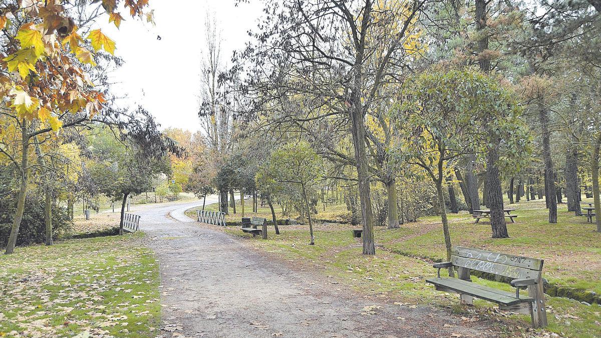 Bosque de Valorio