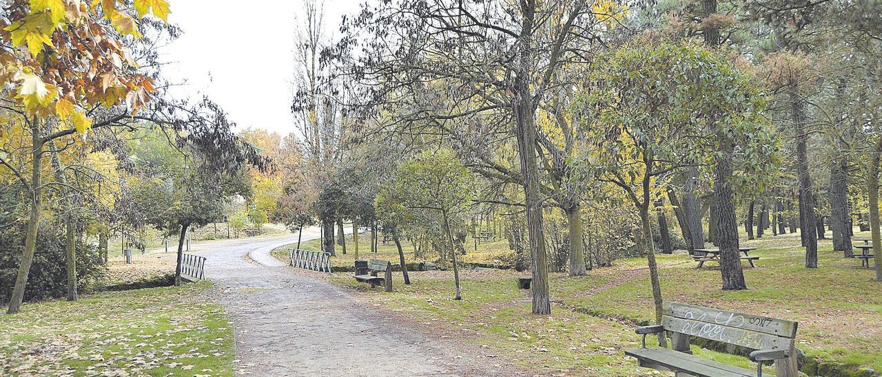 Bosque de Valorio