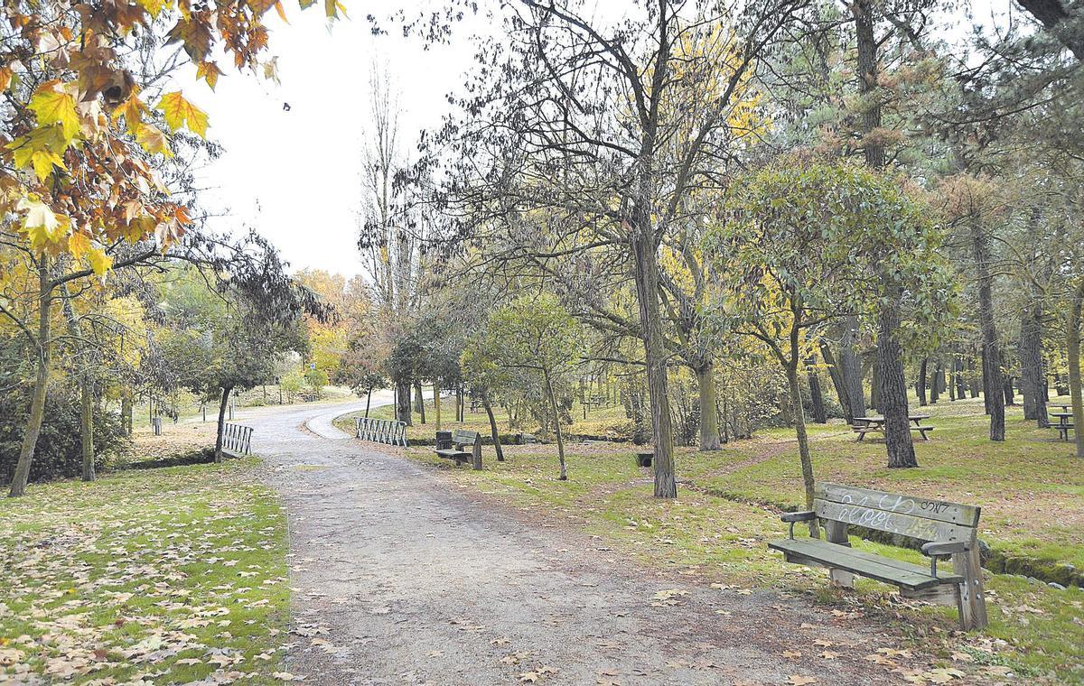 Bosque de Valorio