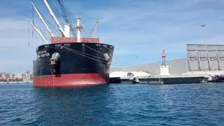 Siguen las descargas de graneles al aire libre en el puerto de Alicante