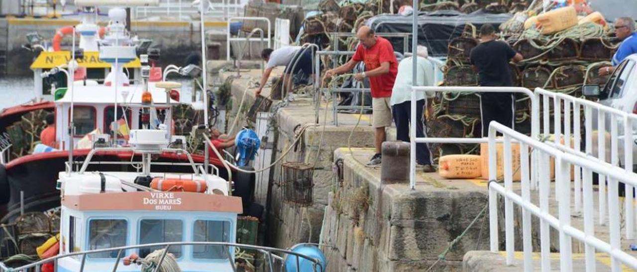 Marineros trabajando en el puerto de Bueu para subir a bordo las nasas del pulpo. // Gonzalo Núñez